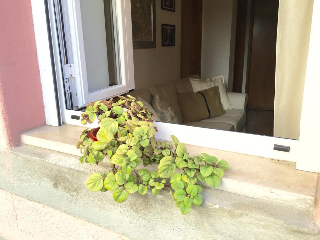 Apartment Saraiva